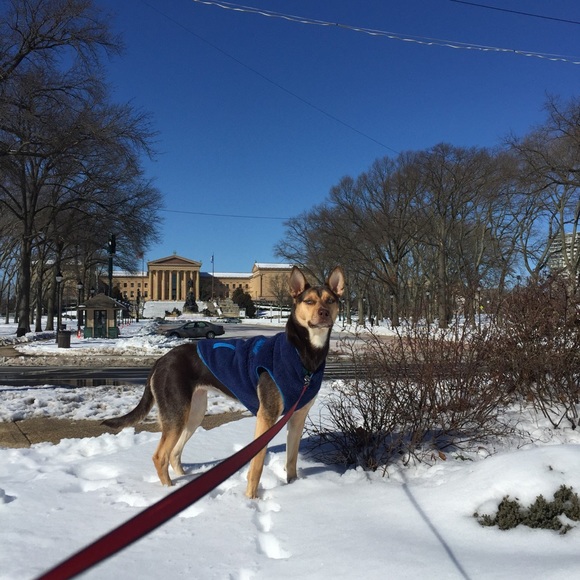 Meet your Posher, Erin - Picture 6 of 6